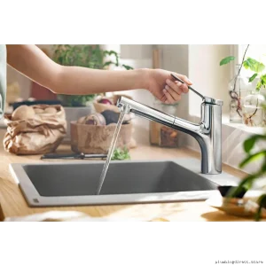 Hansgrohe Chrome Pull-Out Kitchen Faucet with Spray 74800001