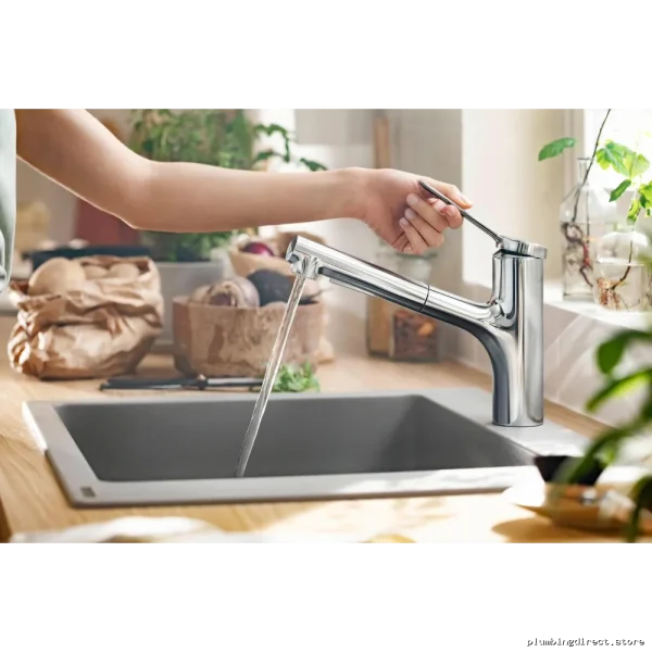 Hansgrohe Chrome Pull-Out Kitchen Faucet with Spray 74800001