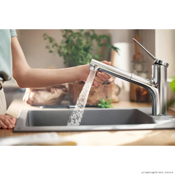 Hansgrohe Chrome Pull-Out Kitchen Faucet with Spray 74800001 - Image 4