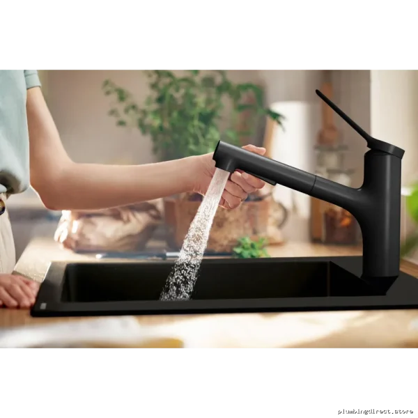 Hansgrohe Chrome Pull-Out Kitchen Faucet with Spray 74800001 - Image 5
