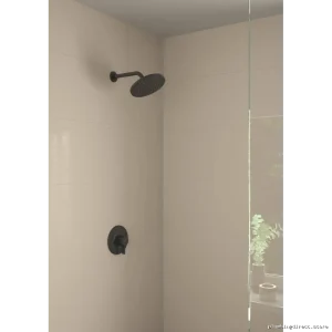Hansgrohe Premium Matte Black Adjustable Shower Head Mount