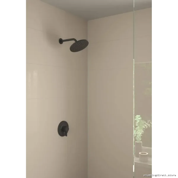 Hansgrohe Premium Matte Black Adjustable Shower Head Mount