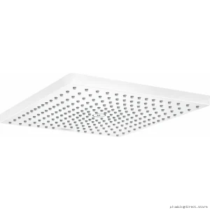 Hansgrohe Raindance E 300 Matte White Shower Head - Single Function 26240701