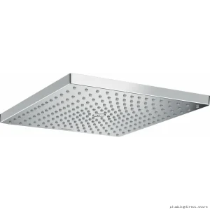 Hansgrohe Chrome Raindance E300 Single-Spray Showerhead