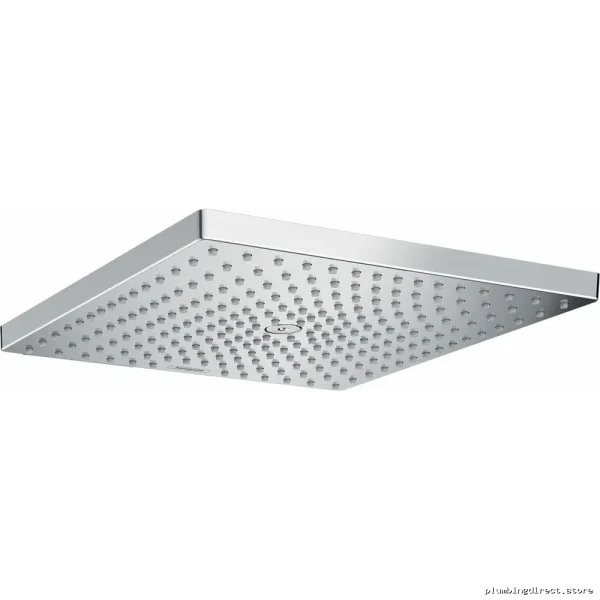 Hansgrohe Chrome Raindance E300 Single-Spray Showerhead