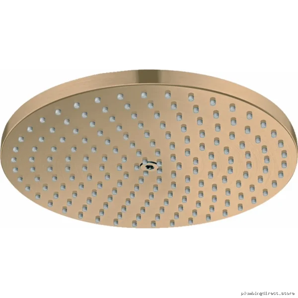 Raindance S 240 Low-Flow Single-Function Shower Head - Brushed Bronze Hansgrohe