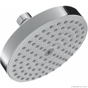 Hansgrohe Raindance S-Plus One-Touch Porcelain Finish Luxury Showerhead