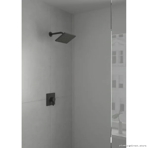 Hansgrohe Modern Matte Black Single Function Shower Head – Vernis Shape Design
