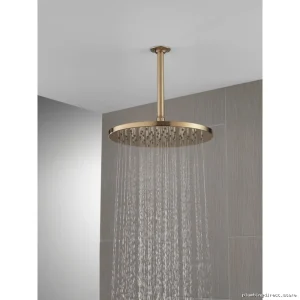 Raincan 12-Inch Single-Setting High-Pressure Champagne Bronze Shower Head