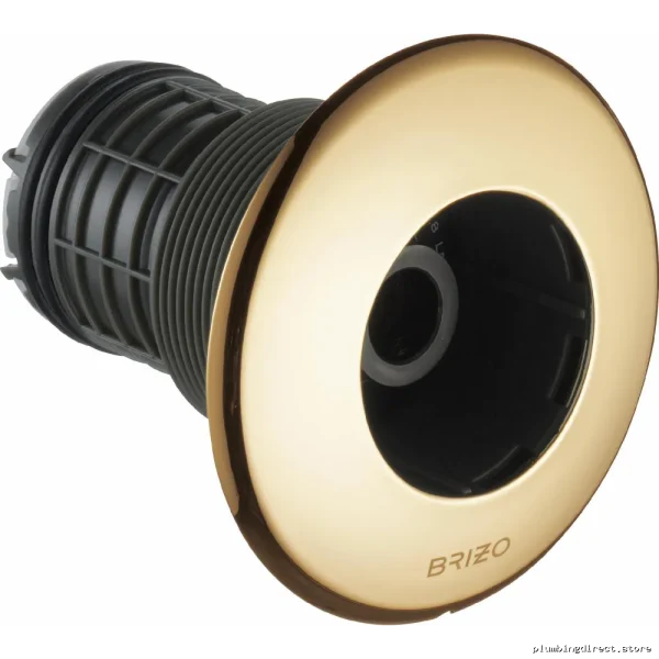HydraChoice Max Round Body Spray Trim - Polished Gold Brizo T84613-PG
