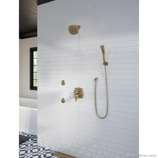 HydraChoice Self-Cleaning Chrome & Gold Shower Sprayer - Image 3