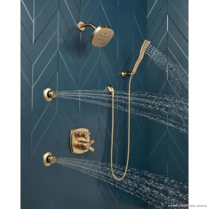 HydraChoice Self-Cleaning Chrome & Gold Shower Sprayer