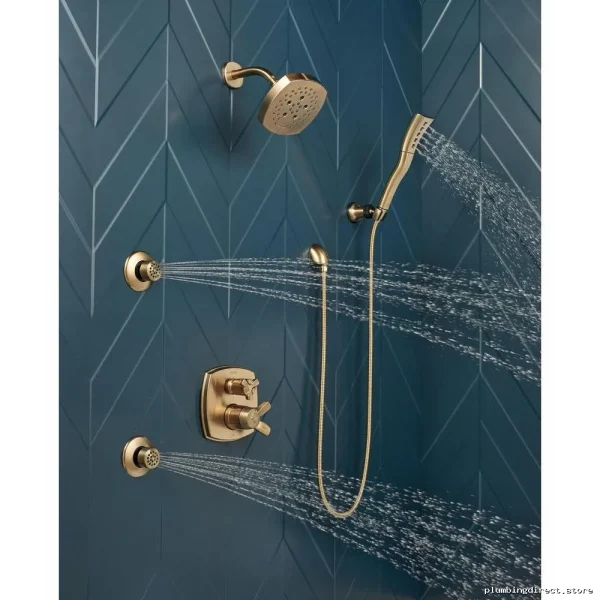 HydraChoice Self-Cleaning Chrome & Gold Shower Sprayer