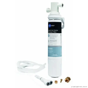 InSinkErator F-2000S: Instant Hot Water & Filtration System for Quick, Clean Drinks