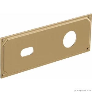 Invari Luxe Gold Escutcheon Plate for Wall-Mount Bathroom Faucets - RP100323GL