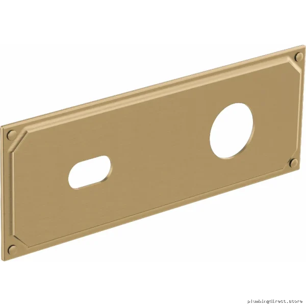 Invari Luxe Gold Escutcheon Plate for Wall-Mount Bathroom Faucets - RP100323GL