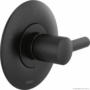 Jason Wu Designer Thermostatic Lever Handle - Matte Black Finish