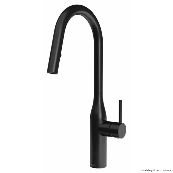 Kalia KF1691-160 Black Kitchen Faucet with Easy-Pull Spray Head