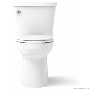 Kingston Tall Elongated Toilet - High-Efficiency 1.28 GPF, Space-Saving White Seatless