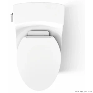 Kohler San Souci Elongated 1.28 GPF Water-Saving Toilet with Quiet Close Seat