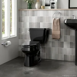 Kohler Elongated Low-Flow Toilet Model #357 Black Seatless