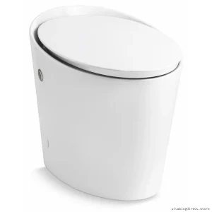 Kohler Avoir White 1.28 GPF Tall Elongated Toilet Quiet-Close Seat Included