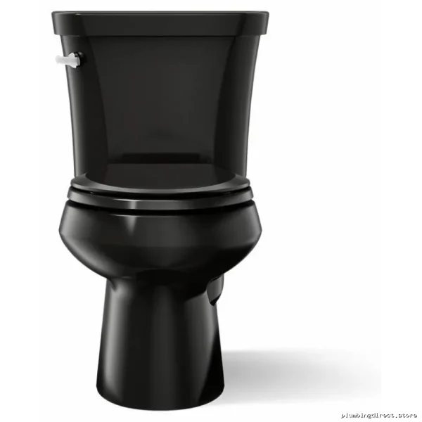 Kohler Elongated Toilet Black - WaterSense Efficient & No Seat - Image 2