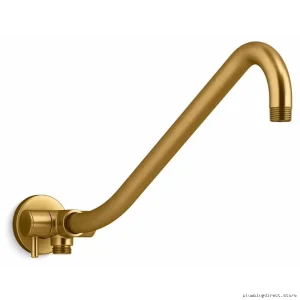 Kohler Modern Brushed Brass Gooseneck Shower Arm with Dual Diverter