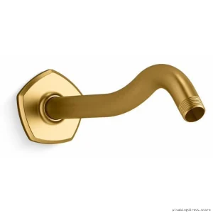 Kohler Brushed Brass Shower Arm with Flange Modern Bathroom Fixture