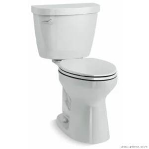 Kohler Cimarron Tall Elongated Toilet 1.6 GPF Water Saving Ice Grey