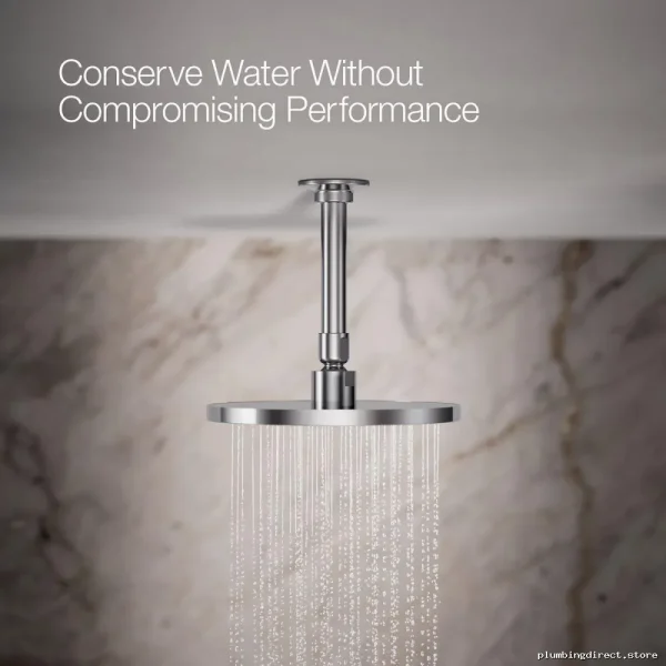 kohlershower eco-rainflow polishedchrome lowflow