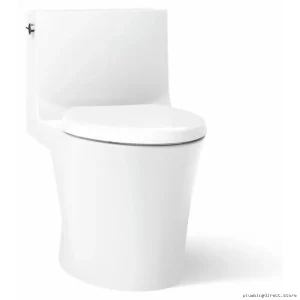 Kohler Elongated Dual Flush Toilet with Skirted Trapway & Concealed Cord - White