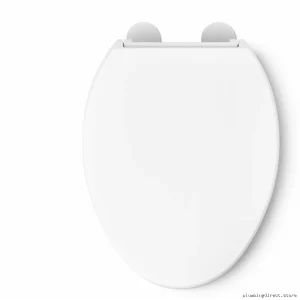 Elongated Soft-Closing Replacement Toilet Seat for Kohler Models - Raised Rim Design in White