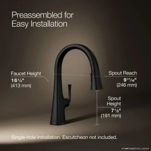 Kohler Graze Pull-Down Kitchen Faucet in Matte Black – Model #BL