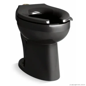Kohler Highcliff Ultra Modern Flushometer Toilet - Black