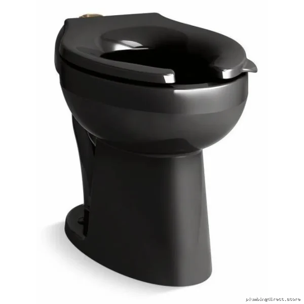 Kohler Highcliff Ultra Modern Flushometer Toilet - Black