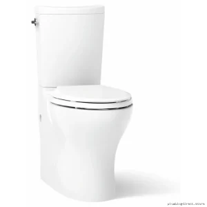 Kohler Tall Elongated Dual Flush Toilet - White 2-Piece (No Seat) 75790-0
