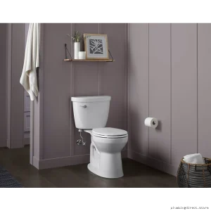Kohler 27292-CP Polished Chrome Toilet Paper Holder - Modern Bathroom Accessory