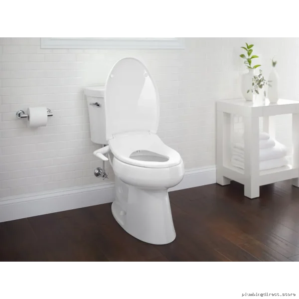 Kohler 14377-CP Polished Chrome Pivoting Toilet Paper Holder - Durable & Stylish