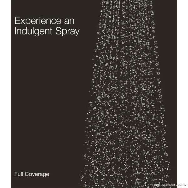 Kohler Polished Chrome Rainshower Shower Head 10 Inch Honesty Series - Image 2