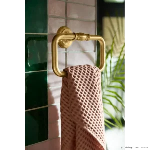 Kohler Polished Nickel Towel Ring - Artifacts Collection 72571-SN