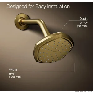 Kohler Occasion Single Function Shower Head – Modern Finish with Vibrant Brushed Brass Design #Model#