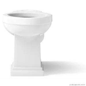 Kohler Tresham White Tall Extended Toilet Bowl with Flushing System 4799-0