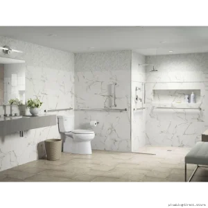 Kohler Wall-Mounted Rain Shower Arm & Flange with Polished Chrome Finish