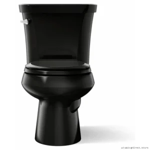 Kohler Wellworth Round Front 1.6 GPF Toilet Bowl in Black - 2-Piece Design