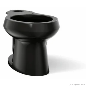 Kohler Wellworth Elongated Black Toilet Bowl - Durable 4198-7 Design