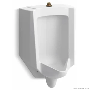 Kohler White Wall-Mounted Urinal with High-Efficiency Top Spud 4991-ET-0