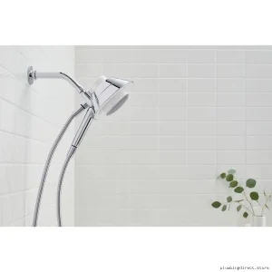 Kohler Moxie Dual Function Handheld Shower & Built-In Wireless Speaker in Polished Chrome