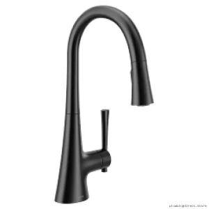 Kurv Kitchen Faucet | Matte Black Pulldown Spray Model 9126BL