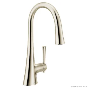 Kurv Polished Nickel Kitchen Faucet with Pulldown Spray - 9126NL Model